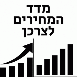 מדד המחירים לצרכן 2023 טבלאות חישובים אינפלציה נתוני בנק ישראל הלמס